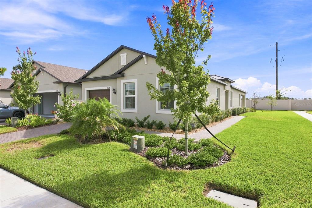 6628 Homebound Way New Port Richey, FL 34655 - Photo 3 of 35 Gallery Image 3