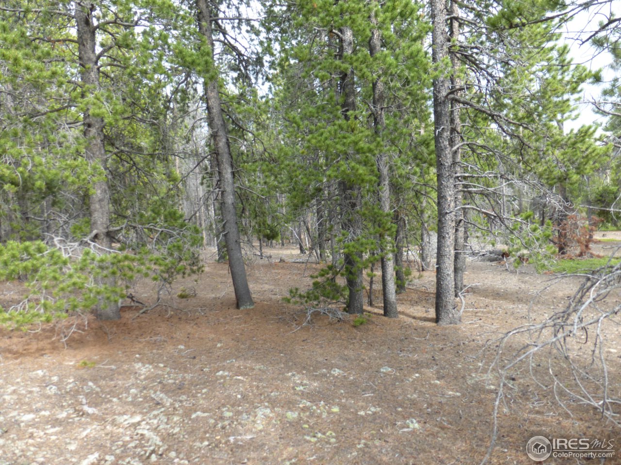 2803 Upper Apex Road Idaho Springs, CO 80452 - Photo 12 of 40 Gallery Image 12