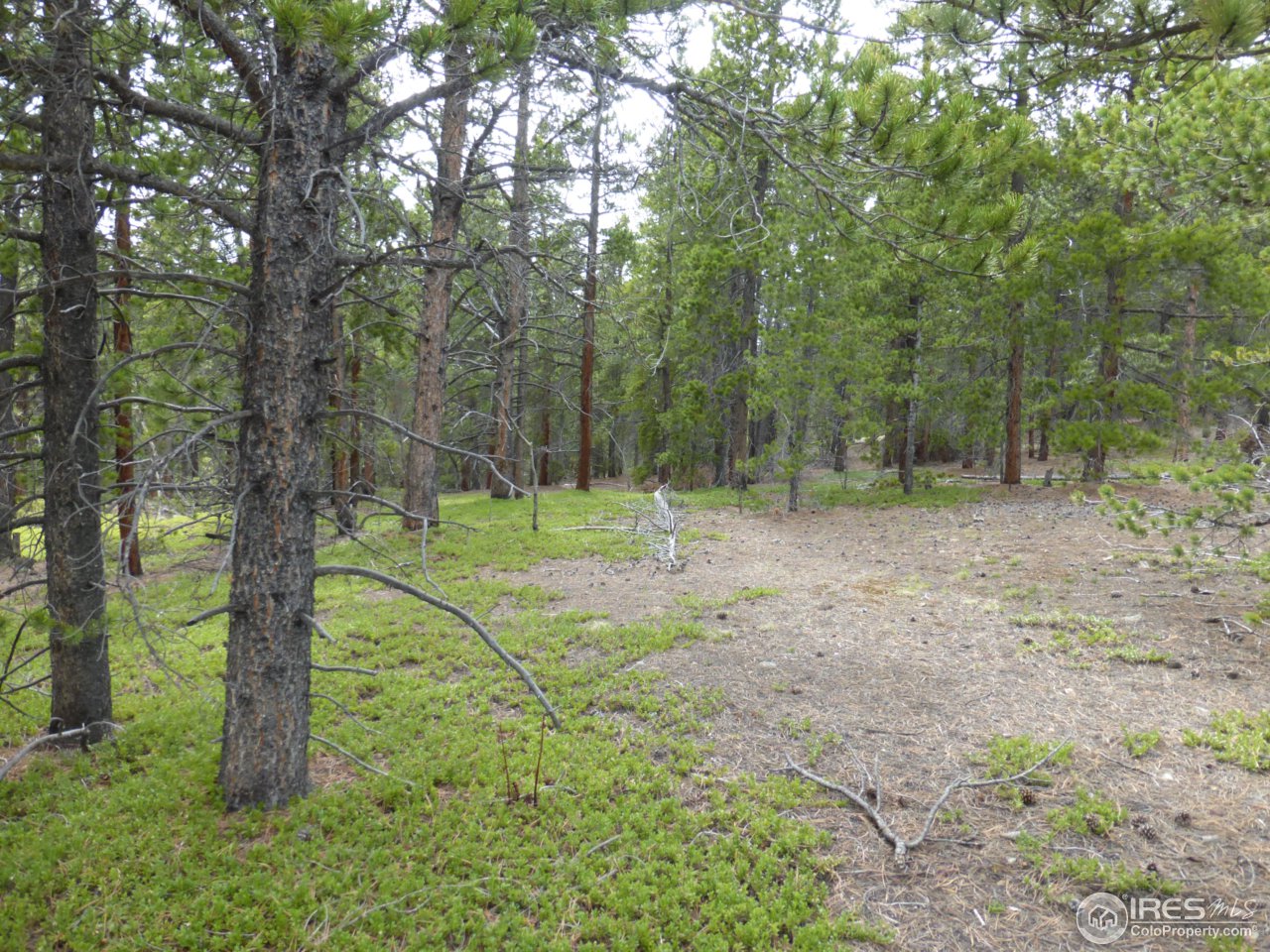 2803 Upper Apex Road Idaho Springs, CO 80452 - Photo 13 of 40 Gallery Image 13
