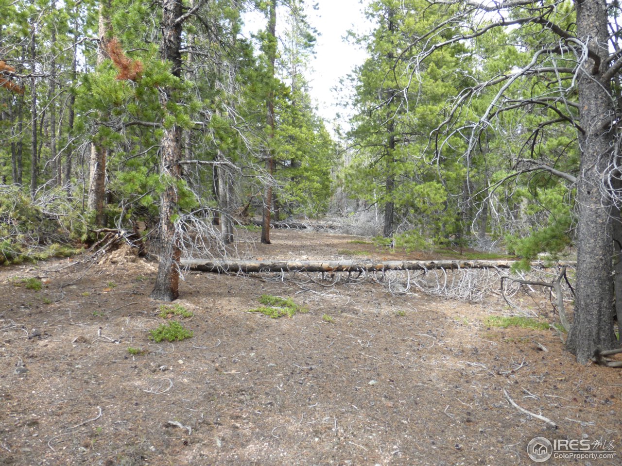 2803 Upper Apex Road Idaho Springs, CO 80452 - Photo 15 of 40 Gallery Image 15