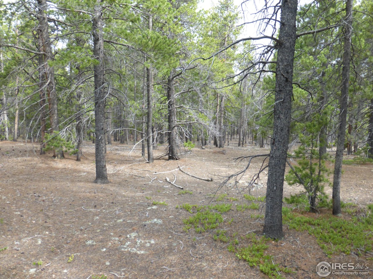 2803 Upper Apex Road Idaho Springs, CO 80452 - Photo 16 of 40 Gallery Image 16