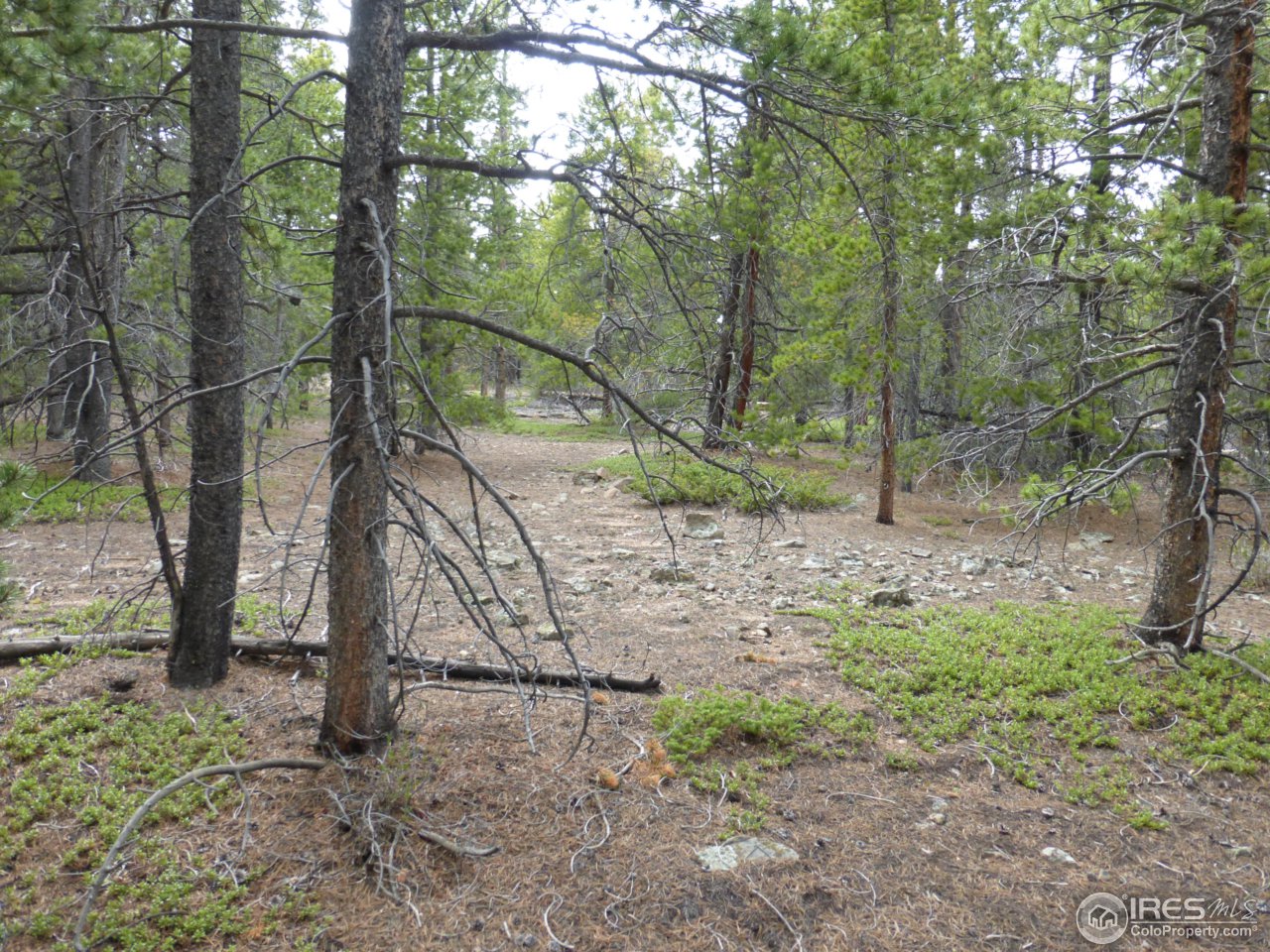 2803 Upper Apex Road Idaho Springs, CO 80452 - Photo 17 of 40 Gallery Image 17