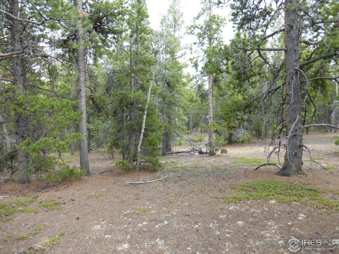2803 Upper Apex Road Idaho Springs, CO 80452 - Photo 18 of 40 Gallery Image 18