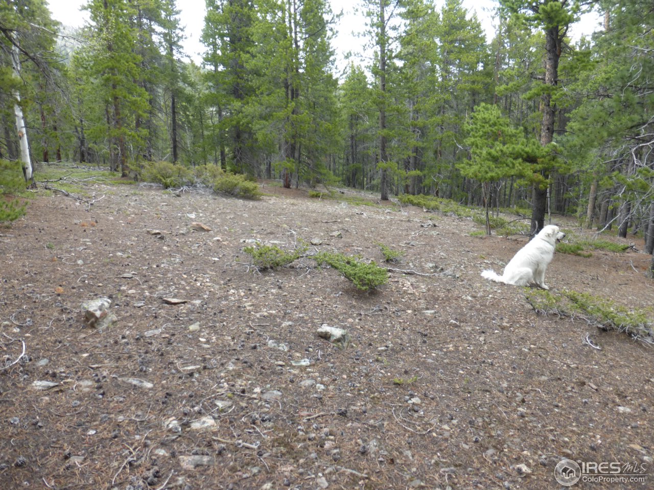 2803 Upper Apex Road Idaho Springs, CO 80452 - Photo 19 of 40 Gallery Image 19