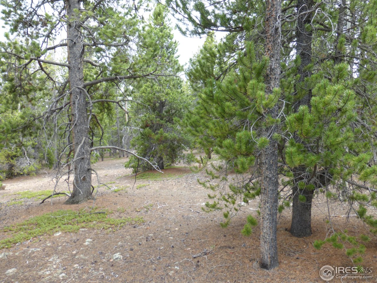 2803 Upper Apex Road Idaho Springs, CO 80452 - Photo 20 of 40 Gallery Image 20
