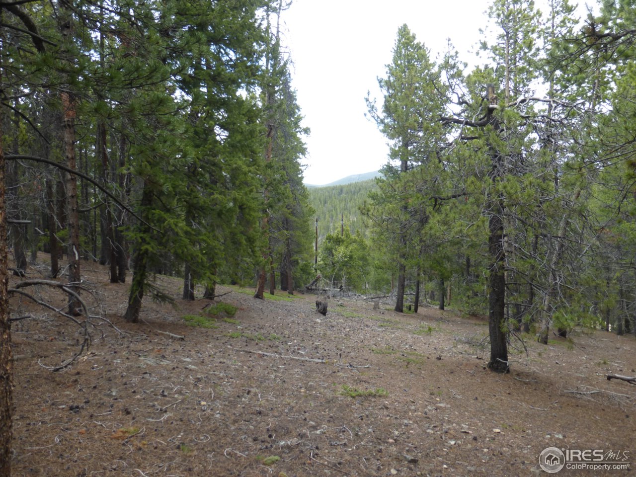 2803 Upper Apex Road Idaho Springs, CO 80452 - Photo 21 of 40 Gallery Image 21