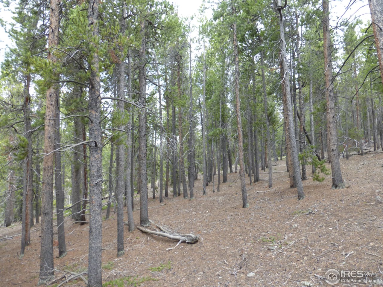 2803 Upper Apex Road Idaho Springs, CO 80452 - Photo 22 of 40 Gallery Image 22