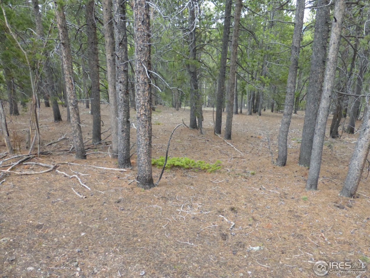 2803 Upper Apex Road Idaho Springs, CO 80452 - Photo 24 of 40 Gallery Image 24
