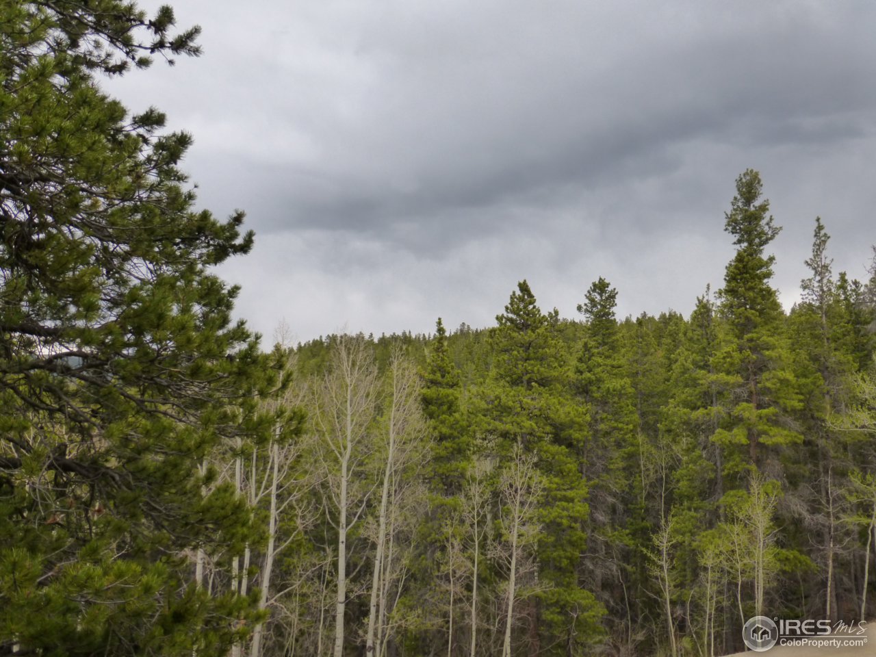 2803 Upper Apex Road Idaho Springs, CO 80452 - Photo 26 of 40 Gallery Image 26