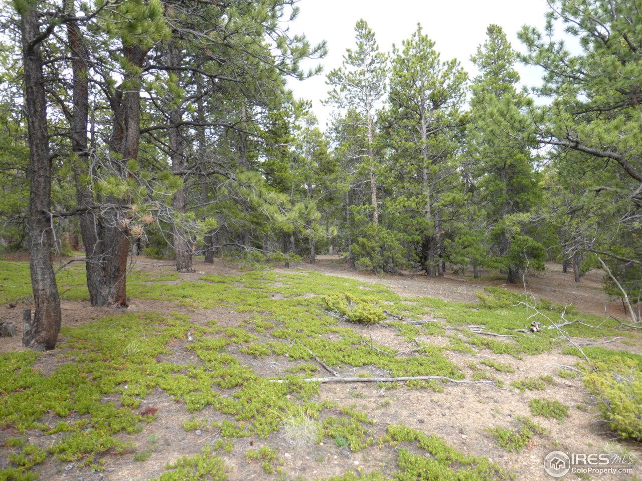 2803 Upper Apex Road Idaho Springs, CO 80452 - Photo 28 of 40 Gallery Image 28