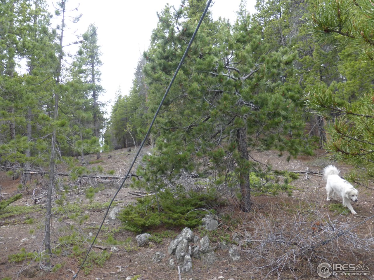 2803 Upper Apex Road Idaho Springs, CO 80452 - Photo 29 of 40 Gallery Image 29