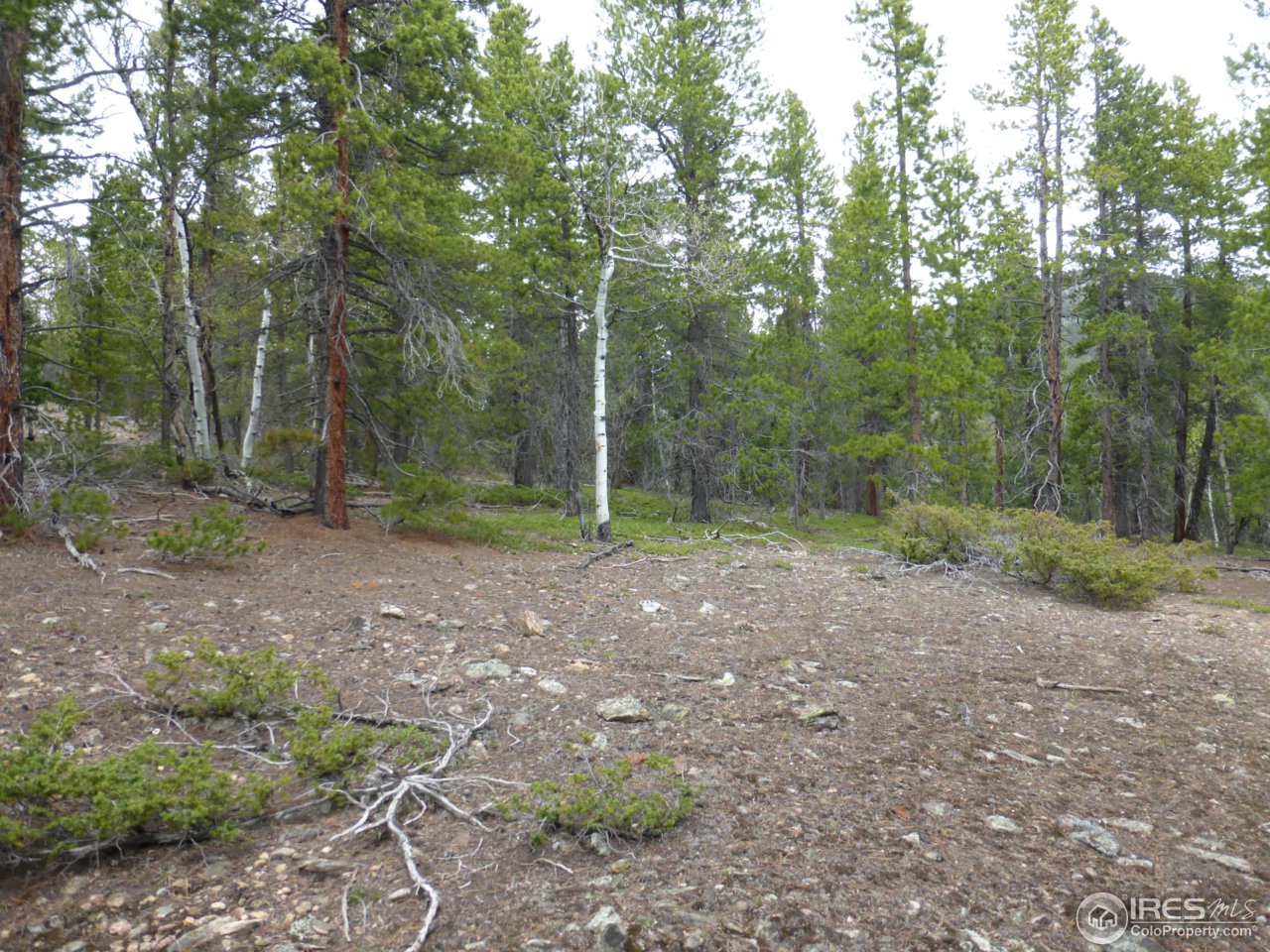 2803 Upper Apex Road Idaho Springs, CO 80452 - Photo 30 of 40 Gallery Image 30