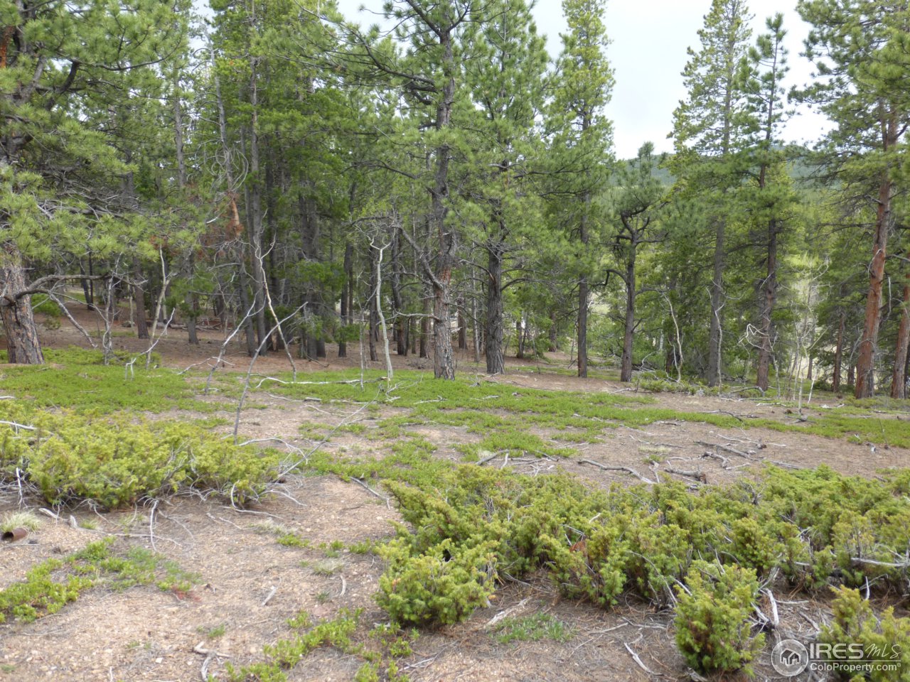 2803 Upper Apex Road Idaho Springs, CO 80452 - Photo 32 of 40 Gallery Image 32
