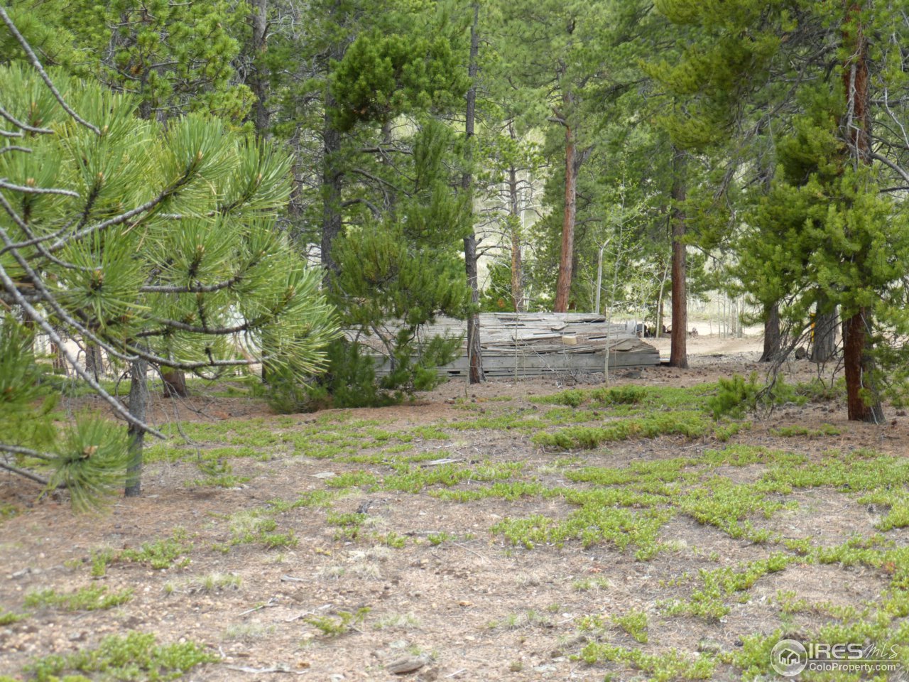 2803 Upper Apex Road Idaho Springs, CO 80452 - Photo 34 of 40 Gallery Image 34