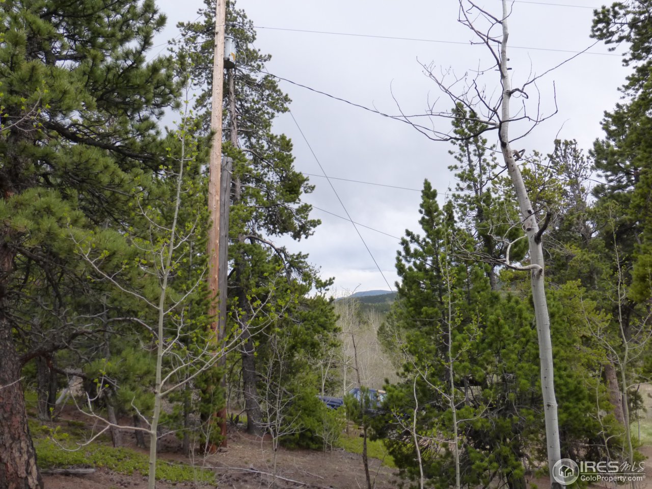 2803 Upper Apex Road Idaho Springs, CO 80452 - Photo 36 of 40 Gallery Image 36