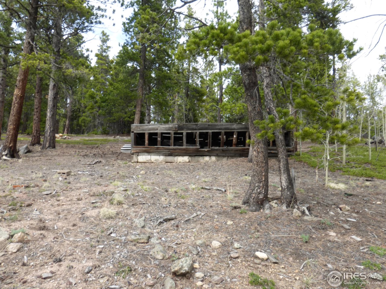 Gallery Image 7