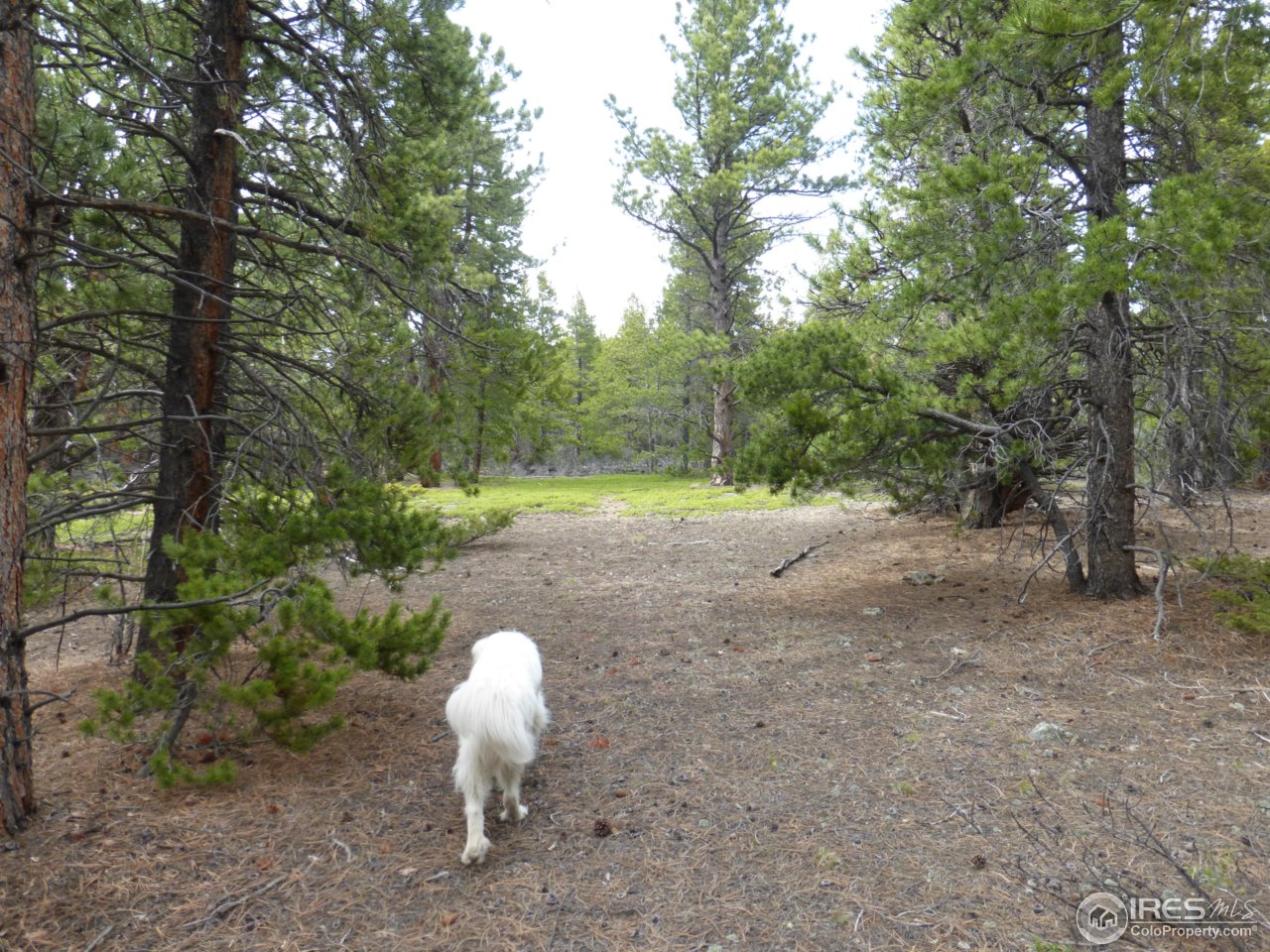 2803 Upper Apex Road Idaho Springs, CO 80452 - Photo 9 of 40 Gallery Image 9