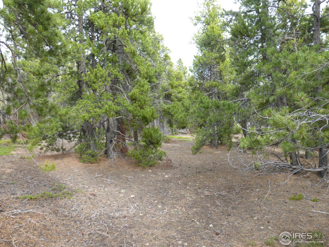 2803 Upper Apex Road Idaho Springs, CO 80452 - Photo 10 of 40 Gallery Image 10
