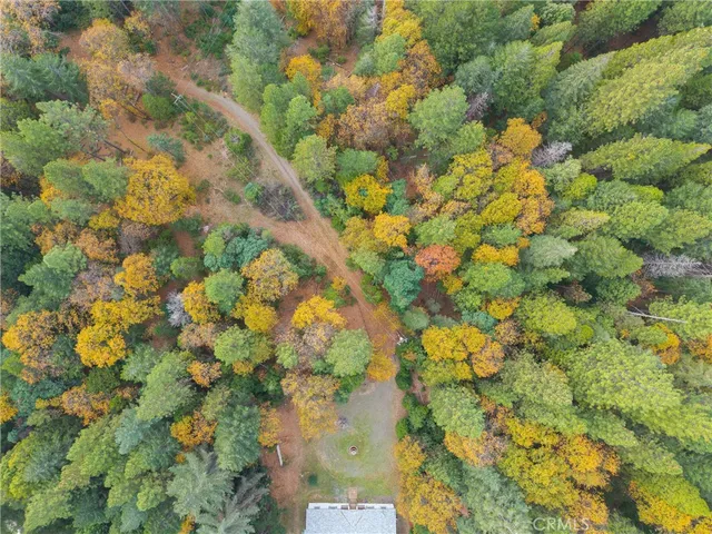 a view of backyard with green space