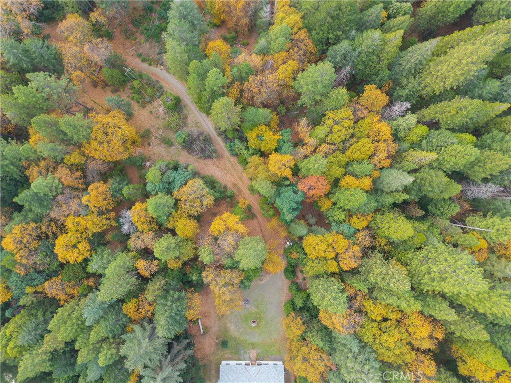 17 Weiss Hill Road Oroville, CA 95966 - Photo 27 of 35 a picture of a tree
