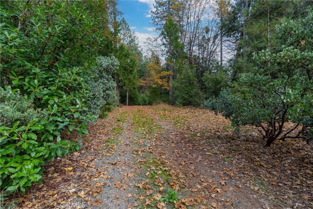 17 Weiss Hill Road Oroville, CA 95966 - Photo 29 of 35 a view of backyard with green space