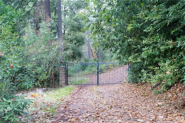 a view of a pathway both side of yard