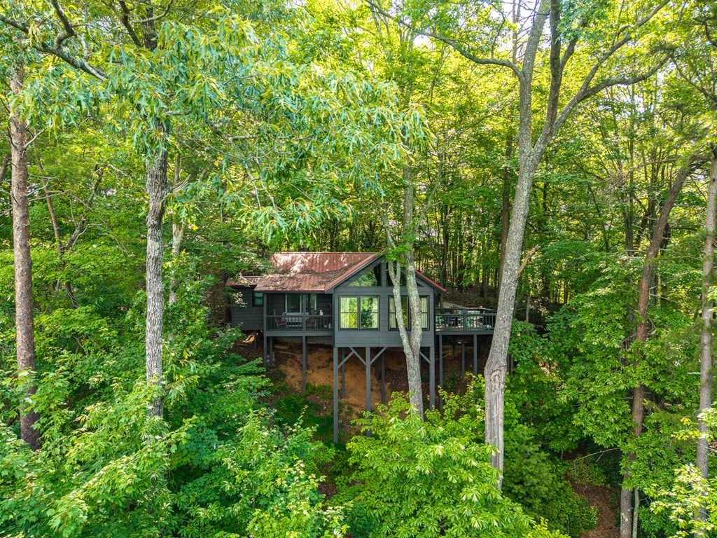 600 Cohutta Mountain Road Blue Ridge, GA 30513 - Photo 37 of 46