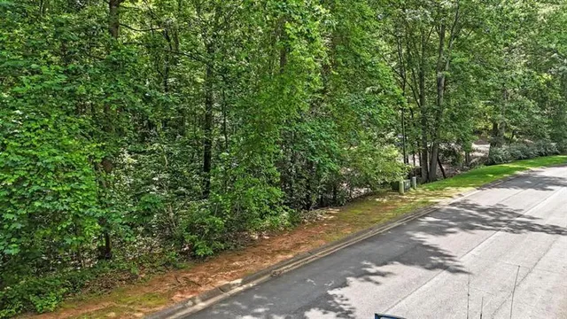 a view of a yard with plants and trees