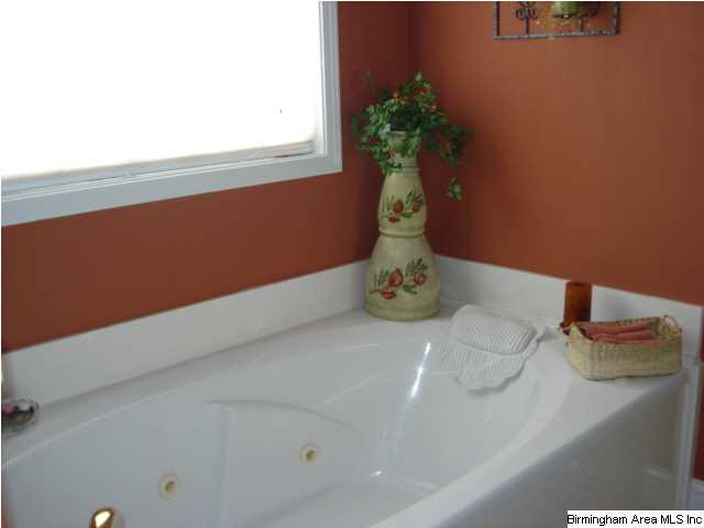 341 Grande View Trail Alabaster, AL 35114 - Photo 10 of 23