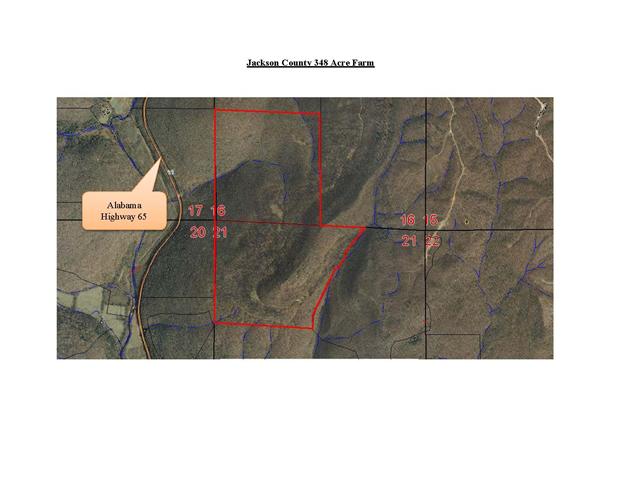 1 Backbone Ridge Princeton, AL 35766 - Photo 1 of 12