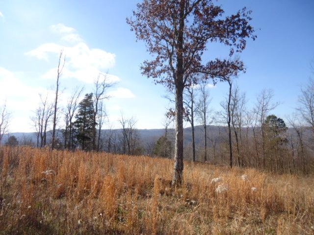 1 Backbone Ridge Princeton, AL 35766 - Photo 10 of 12