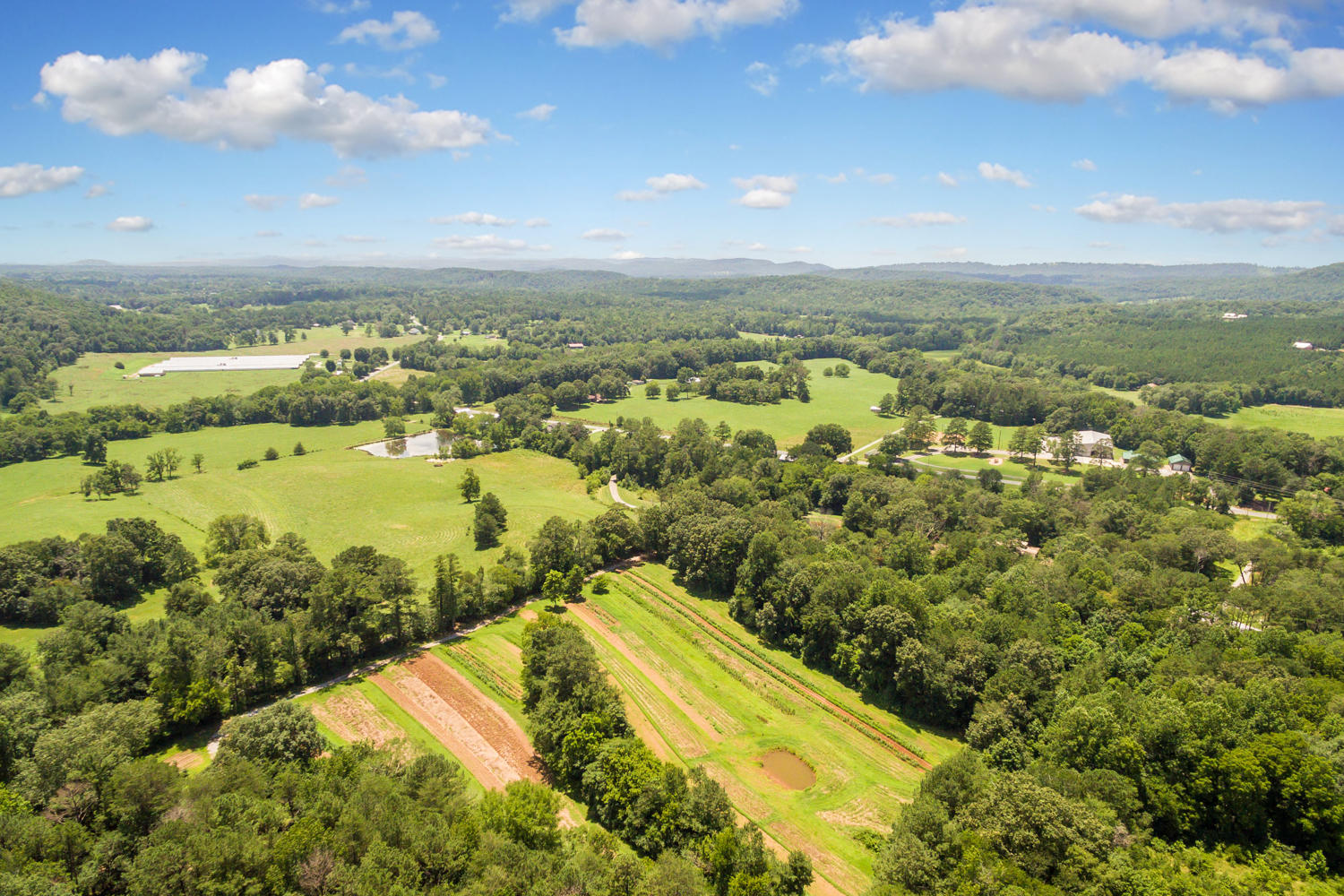 0 Keith Road, Unit TRACK 4 Ringgold, GA 30736 - Photo 6 of 12 Keith_Rd_Lot