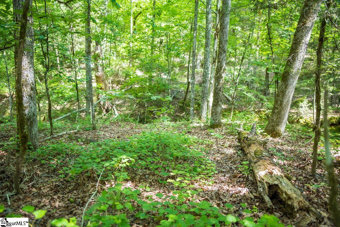 0 Tom Young Bridge Road, Unit LOT 23 & 24 Iva, SC 29655 - Photo 11 of 12 Gallery Image 11