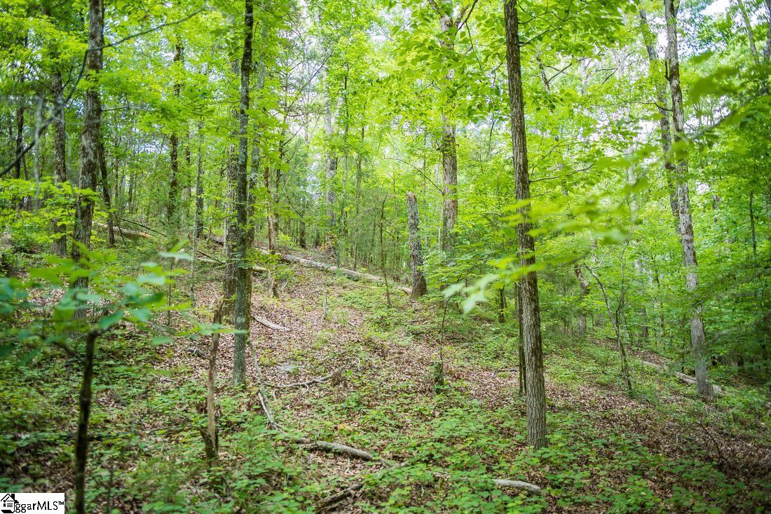 0 Tom Young Bridge Road, Unit LOT 23 & 24 Iva, SC 29655 - Photo 12 of 12 Gallery Image 12