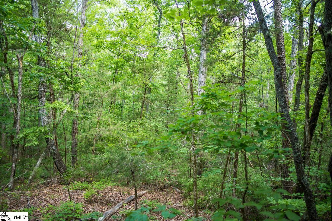 0 Tom Young Bridge Road, Unit LOT 23 & 24 Iva, SC 29655 - Photo 9 of 12 Gallery Image 9