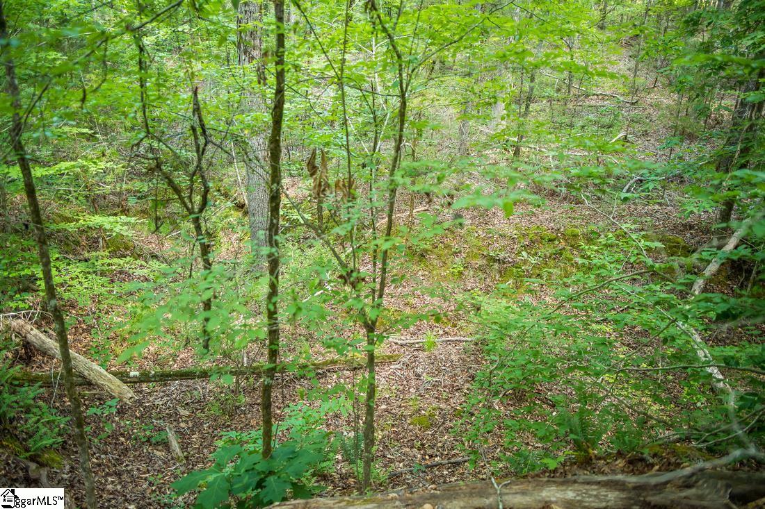 0 Tom Young Bridge Road, Unit LOT 23 & 24 Iva, SC 29655 - Photo 10 of 12 Gallery Image 10