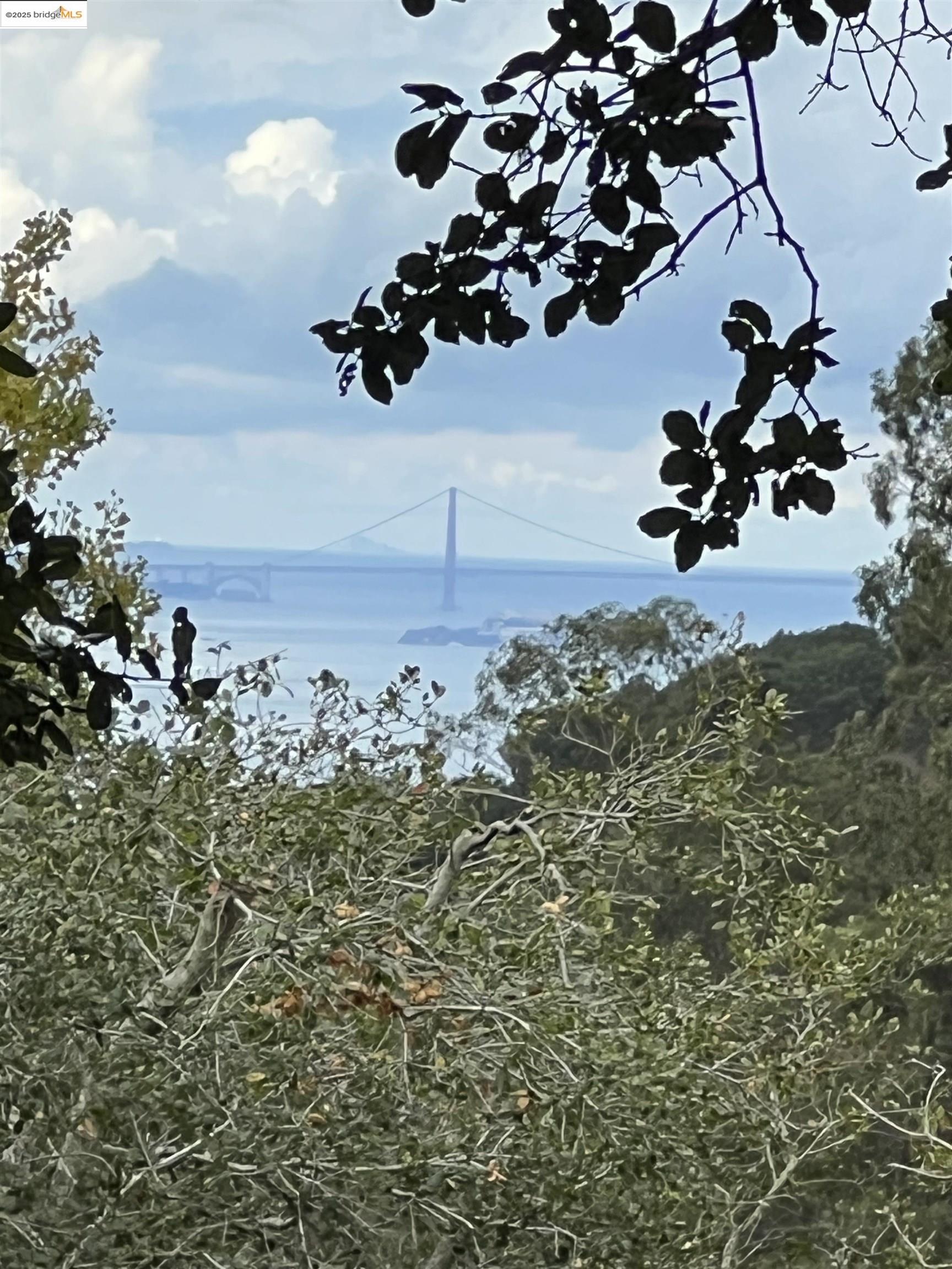 a view of a vase of flowers