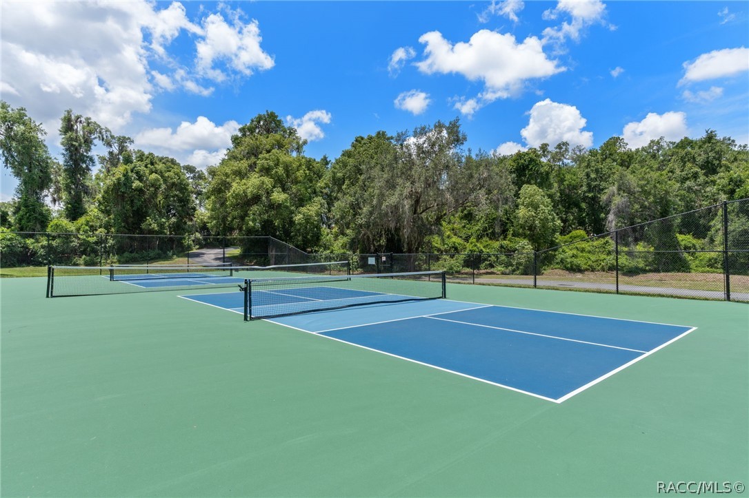 3116 North Stratham Point Hernando, FL 34442 - Photo 44 of 50