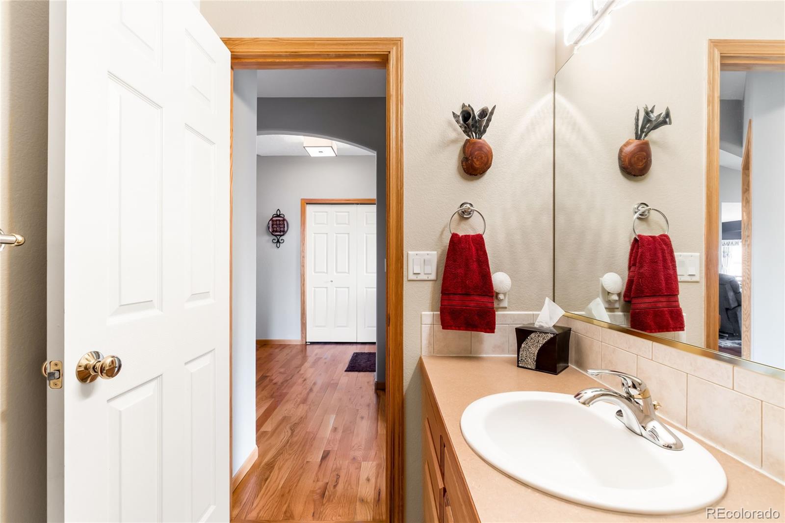 2013 Trail Ridge Drive Severance, CO 80615 - Photo 29 of 49 a bathroom with a sink and mirror