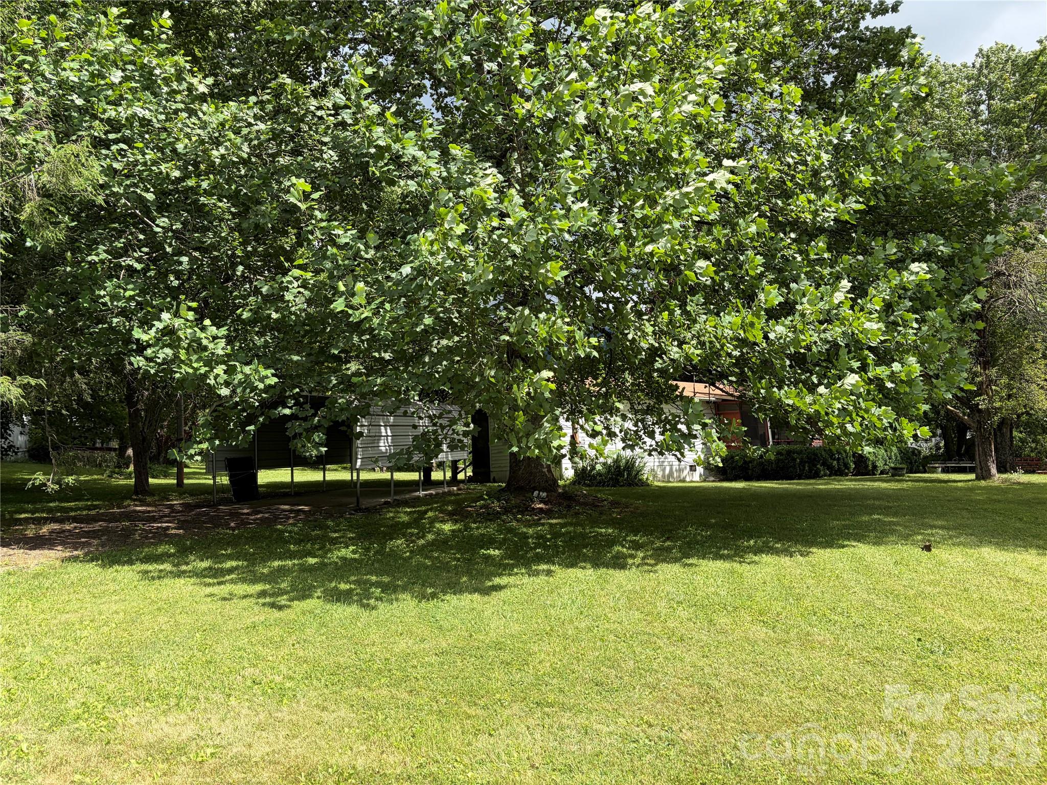 42 Country Meadows Road Burnsville, NC 28714 - Photo 4 of 43
