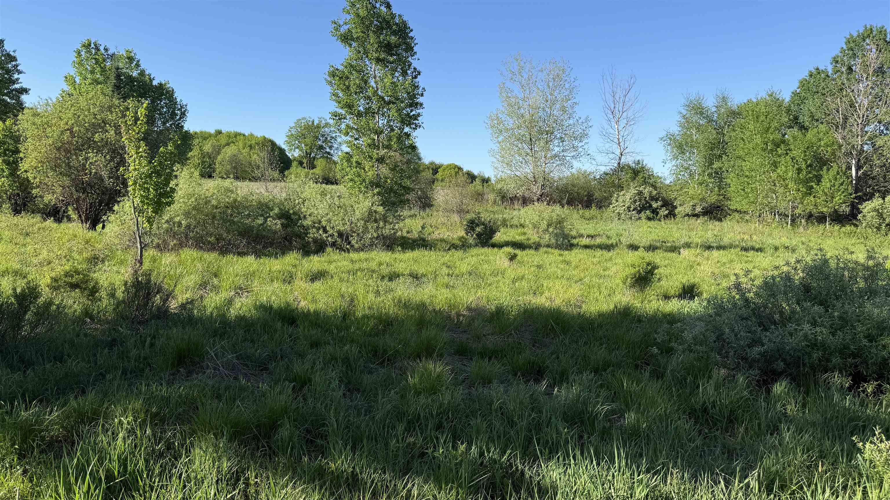 Lot 3 Eau Claire River Road Ringle, WI 54471 - Photo 19 of 28