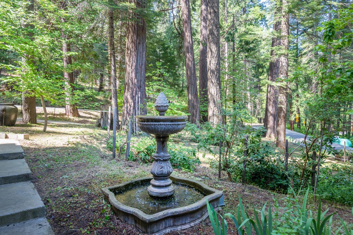 2271 Murphys Drive Arnold, CA 95223 - Photo 7 of 91 a view of a fountain in the yard