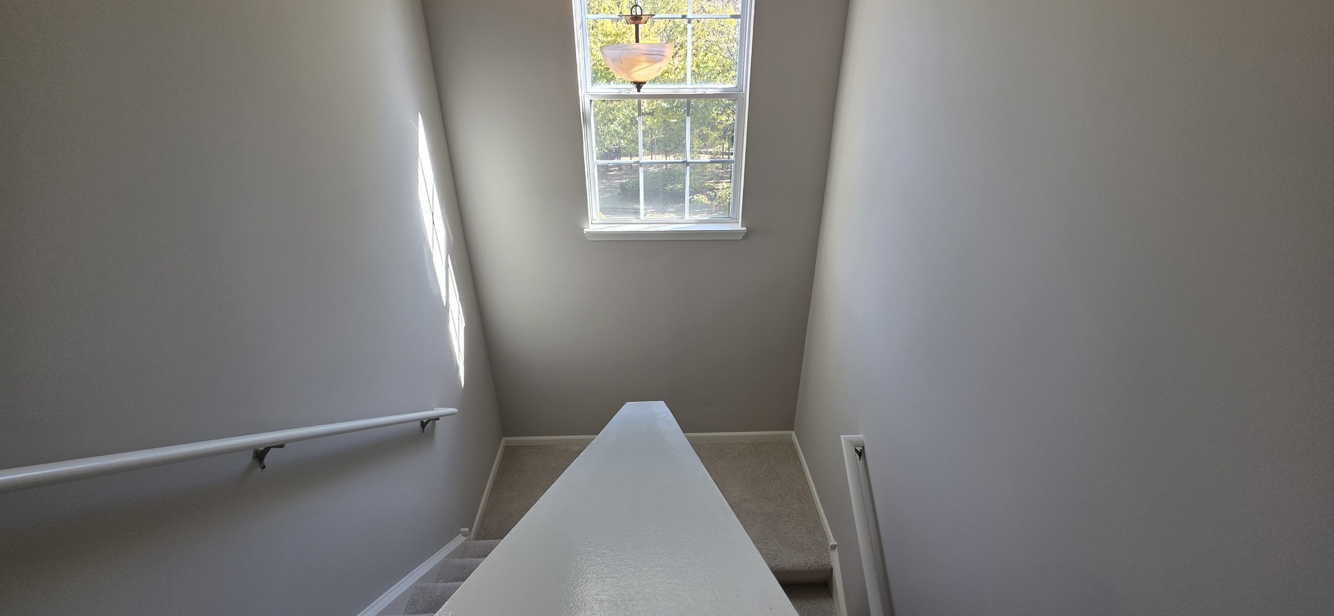 4313 Timber Ridge Court Joliet, IL 60431 - Photo 23 of 24 a view of closet