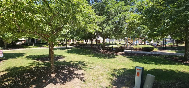 a view of a park with large trees