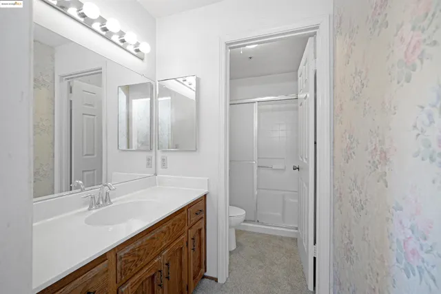 a view of backyard and tree