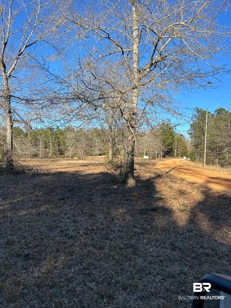 0 Buddy Lake Road Brewton, AL 36426 - Photo 1 of 2