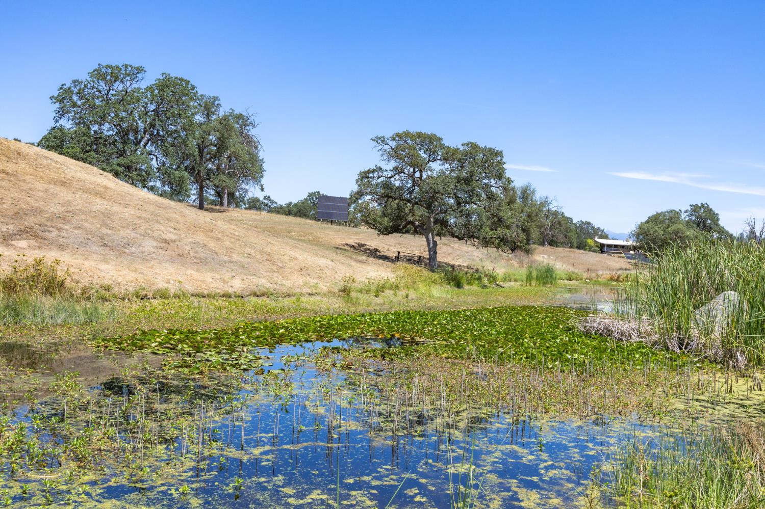 1087 Ben Hur Road Raymond, CA 93653 - Photo 57 of 88
