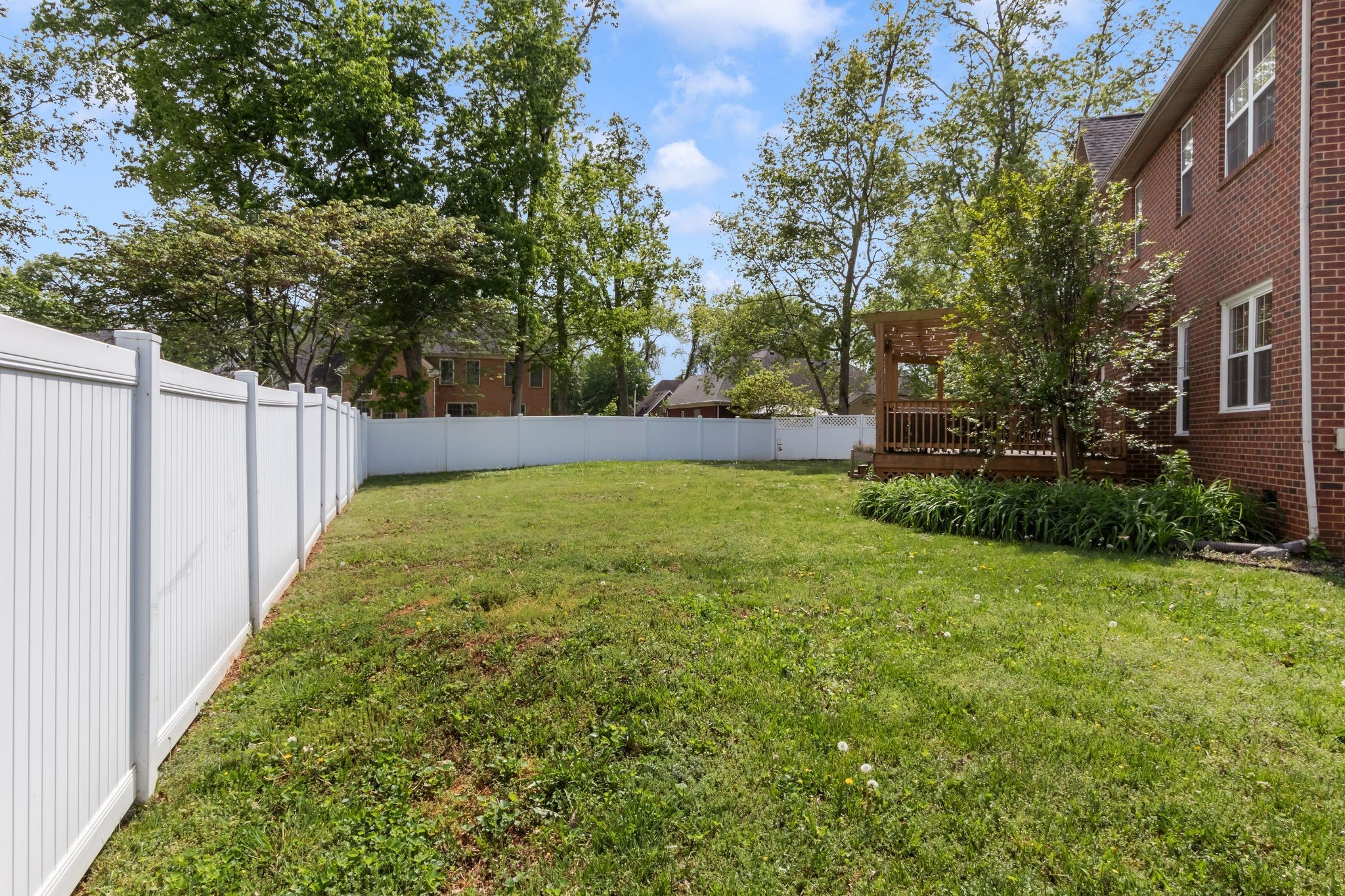3033 Tybee Trail Murfreesboro, TN 37127 - Photo 39 of 41 a view of a backyard with large trees