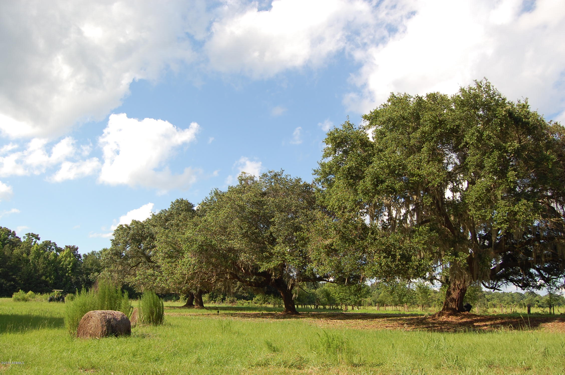 93 River Oaks Road Seabrook, SC 29940 - Photo 17 of 18 DSC_0016