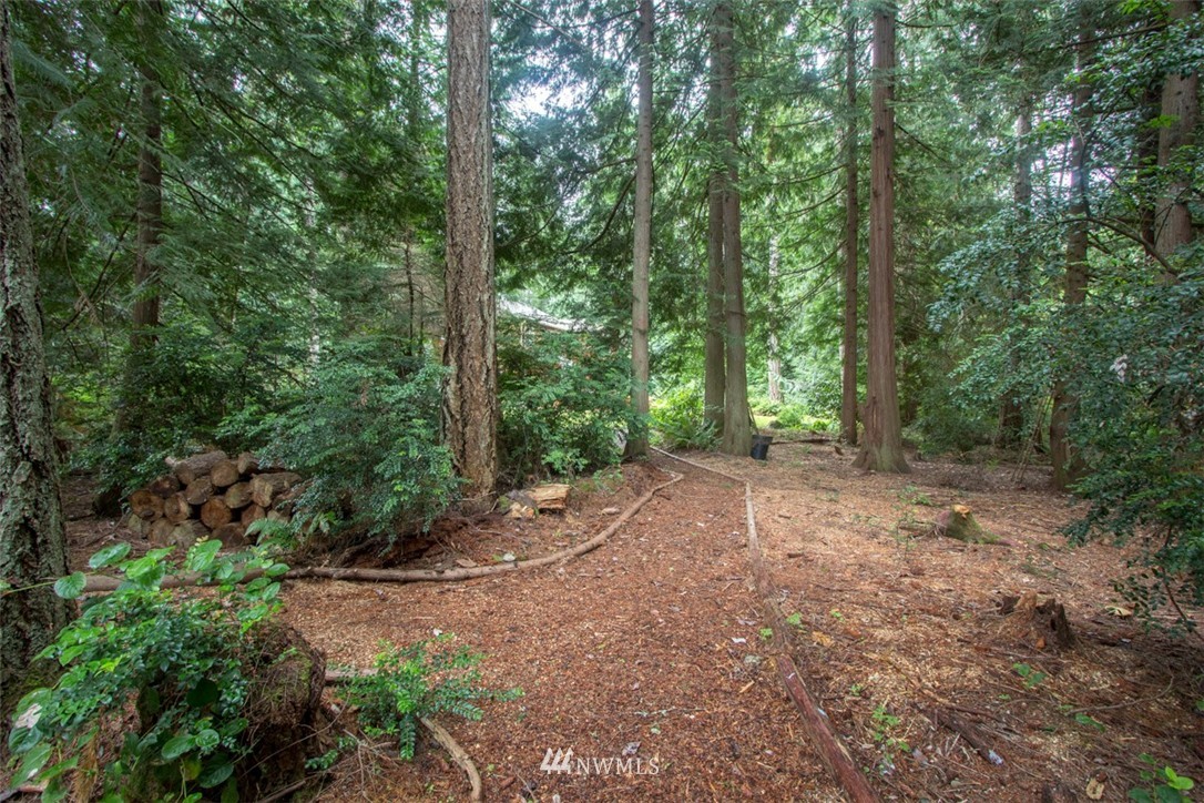 8185 Springridge Road Northeast Bainbridge Island, WA 98110 - Photo 24 of 25 Gallery Image 24